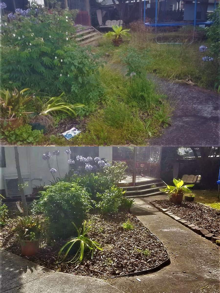 Before and after: a weedy garden bed by a path, then the same bed cleared, mulched and planted with agapanthus and shrubs